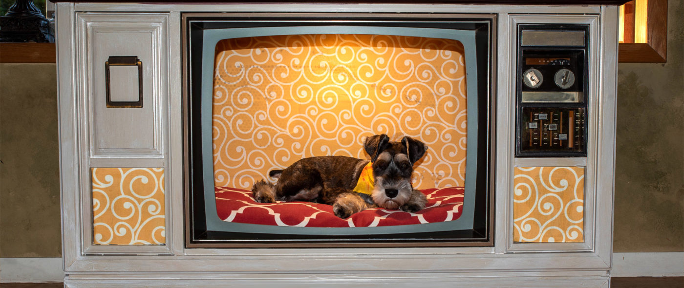 Upcycled vintage TV made into a dog bed