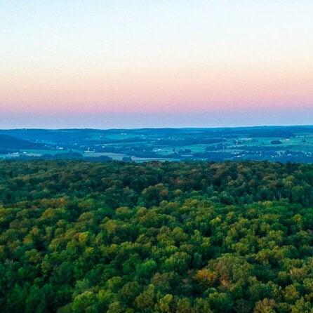 aerial view of forest and fields at sunset aerial view of forest and fields